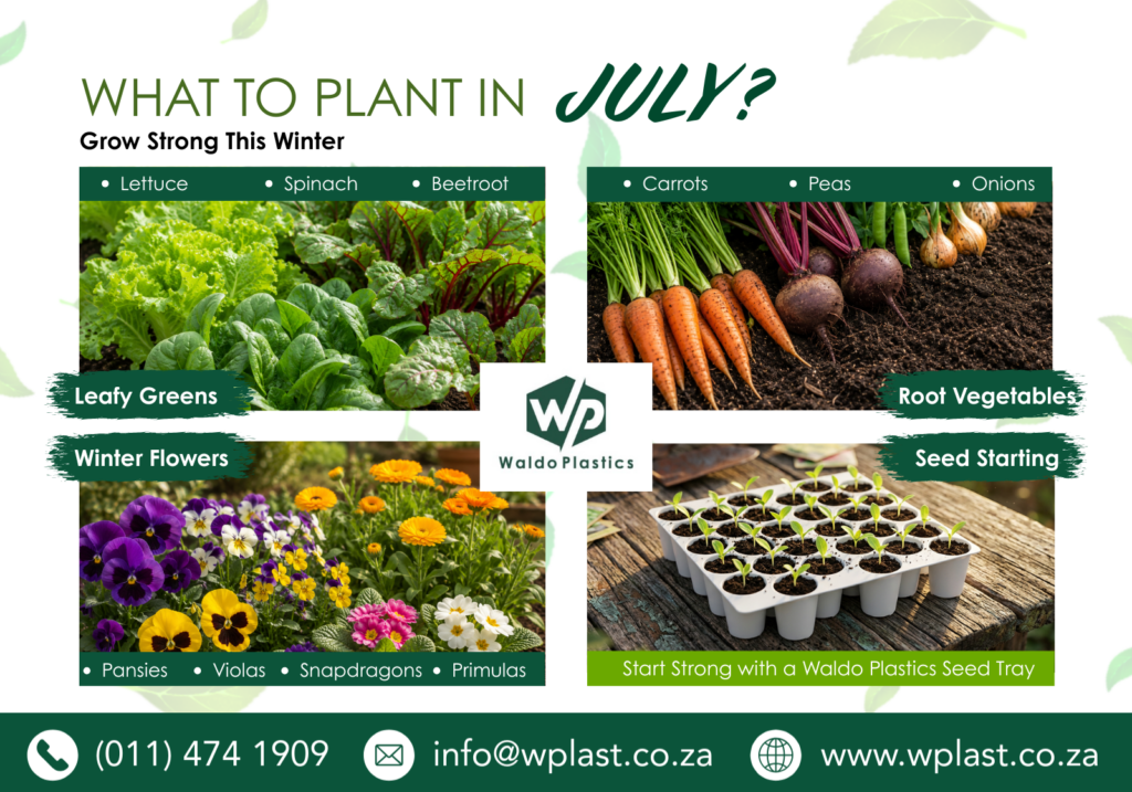 What to plant in July Facebook (3)