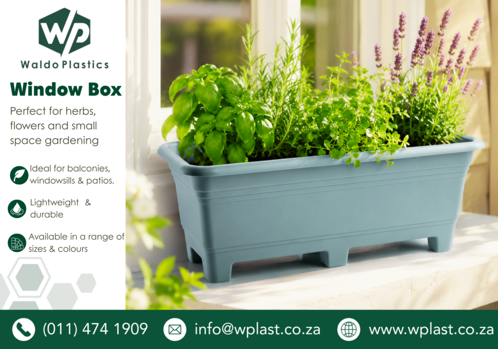 Window Box